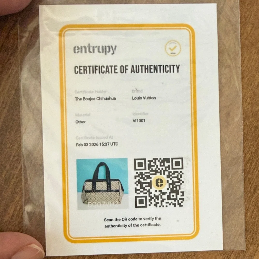 Louis Vuitton Mini Lin Canvas Satchel - Picture 12 of 12